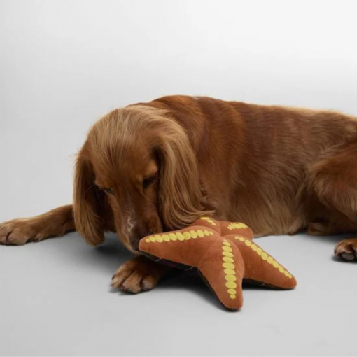 ruffords-country-lifestyle-barbour-starfish-dog-toy7